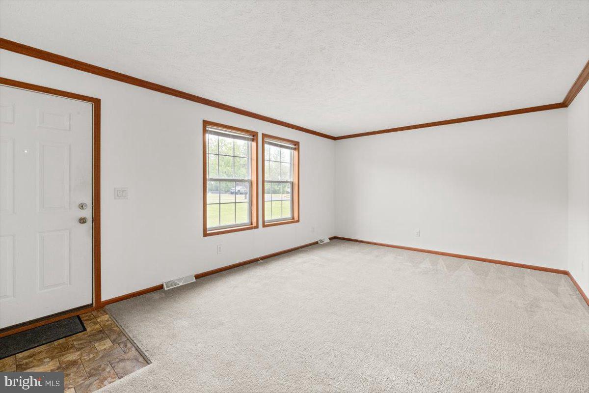 4767 South Ox Road Woodstock, VA 22664 - Photo 4 of 32