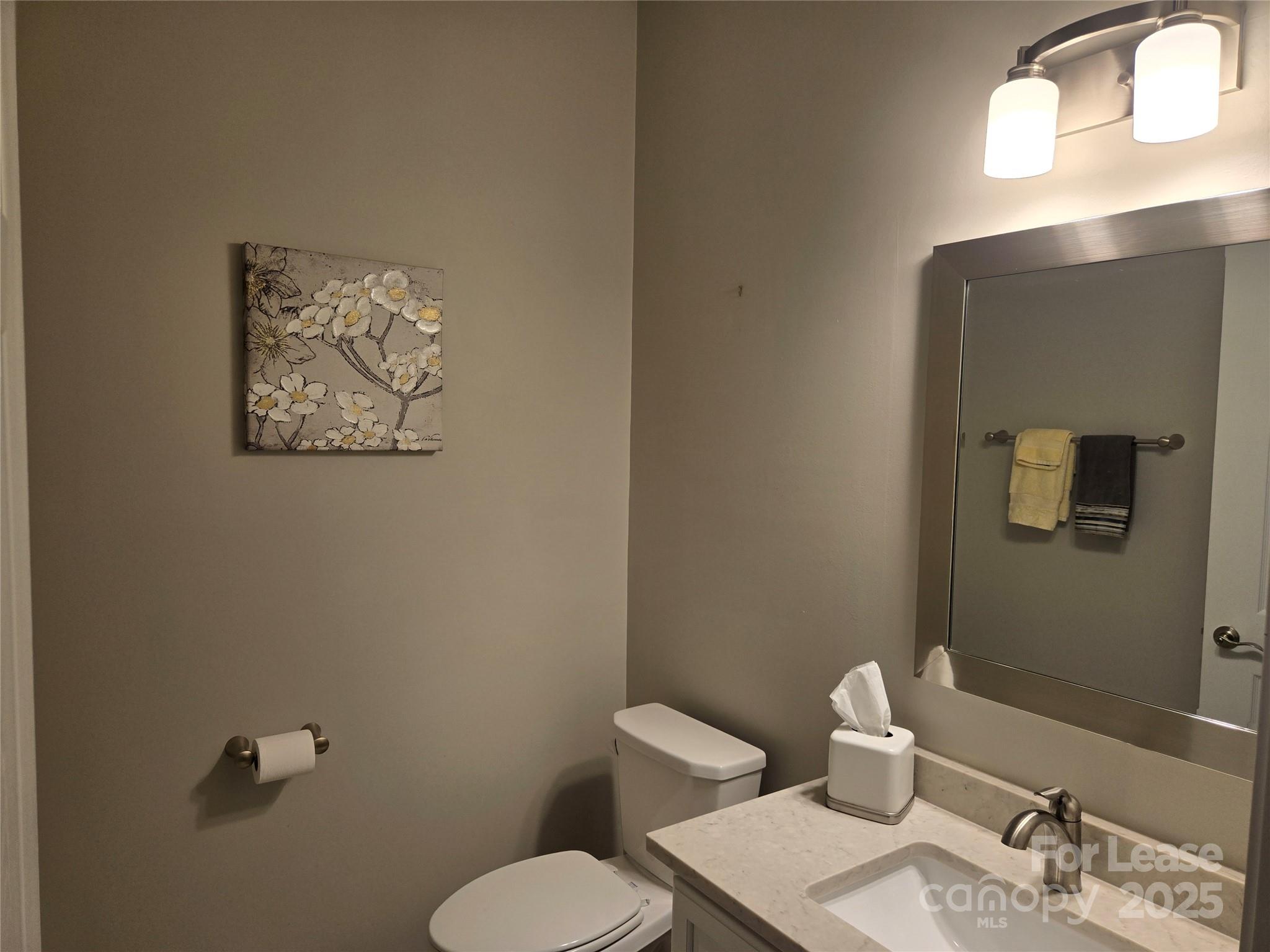 809 Ledgestone Court Fort Mill, SC 29708 - Photo 16 of 31