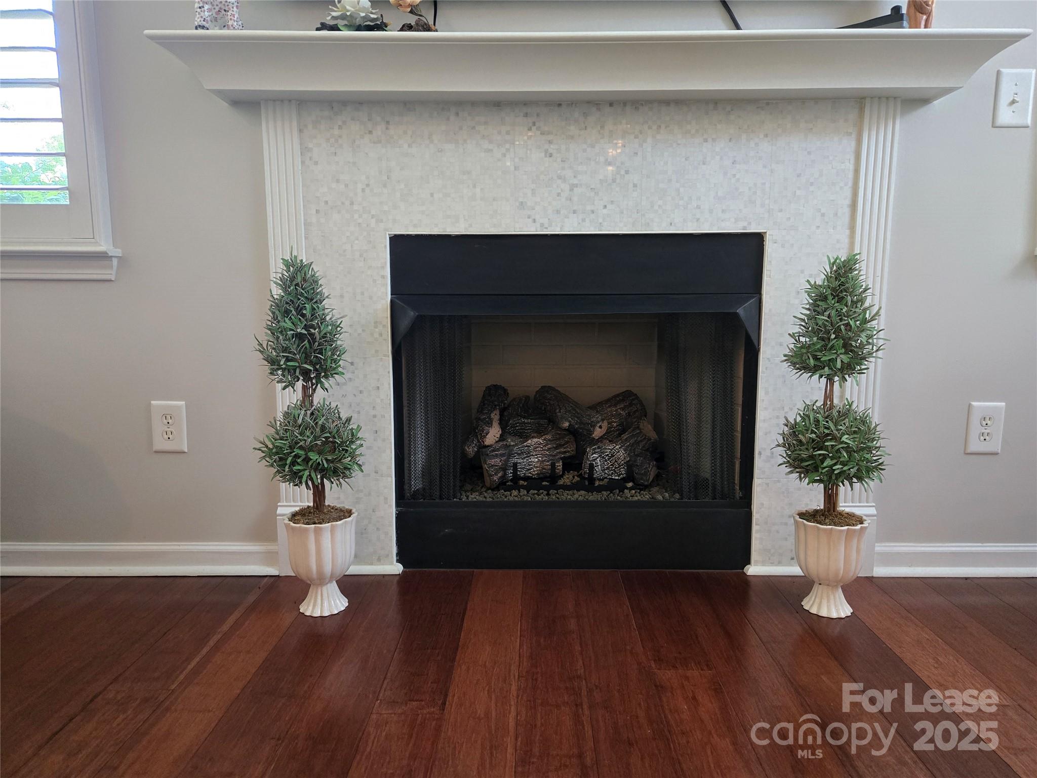 809 Ledgestone Court Fort Mill, SC 29708 - Photo 4 of 31