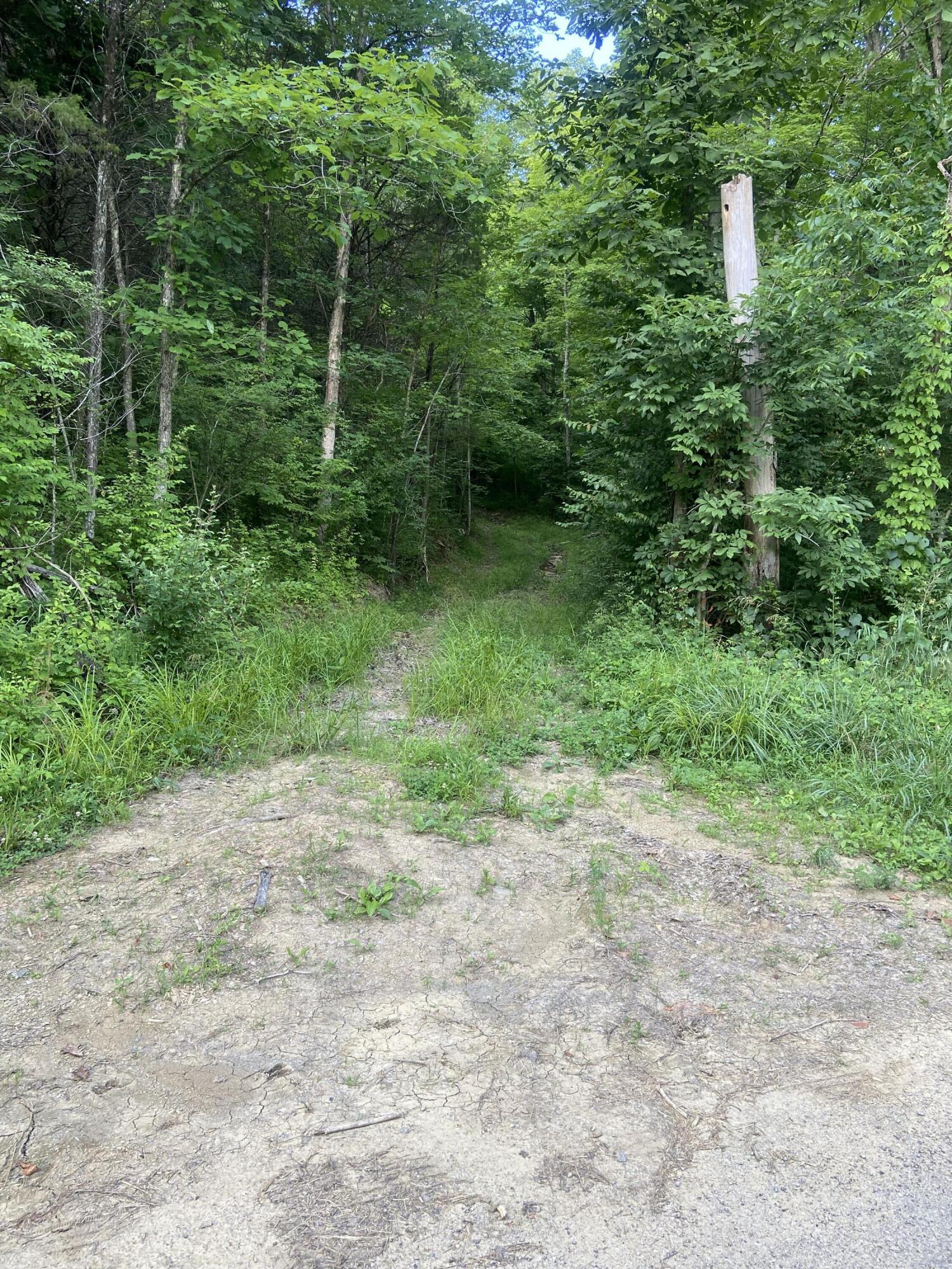 0 Wish Road California, KY 41007 - Photo 6 of 6