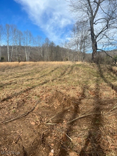 0 Buckner Bend Road Walker, WV 26180 - Photo 8 of 13