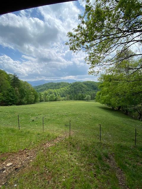 836 Hubert Haynes Road Flag Pond, TN 37657 - Photo 12 of 16 H14
