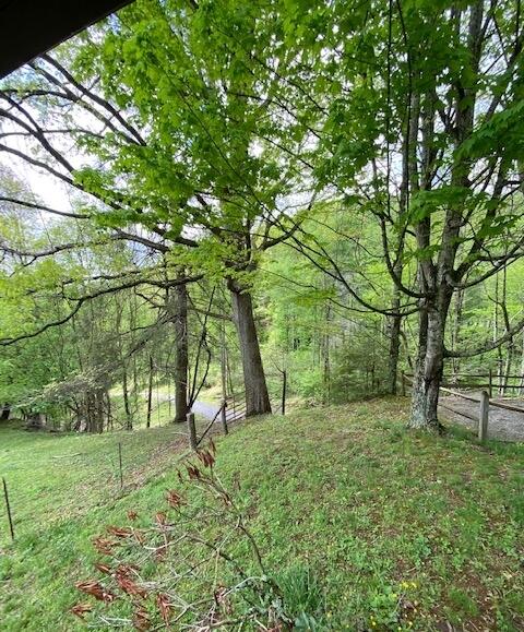 836 Hubert Haynes Road Flag Pond, TN 37657 - Photo 13 of 16 H15