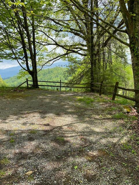 836 Hubert Haynes Road Flag Pond, TN 37657 - Photo 15 of 16 H17