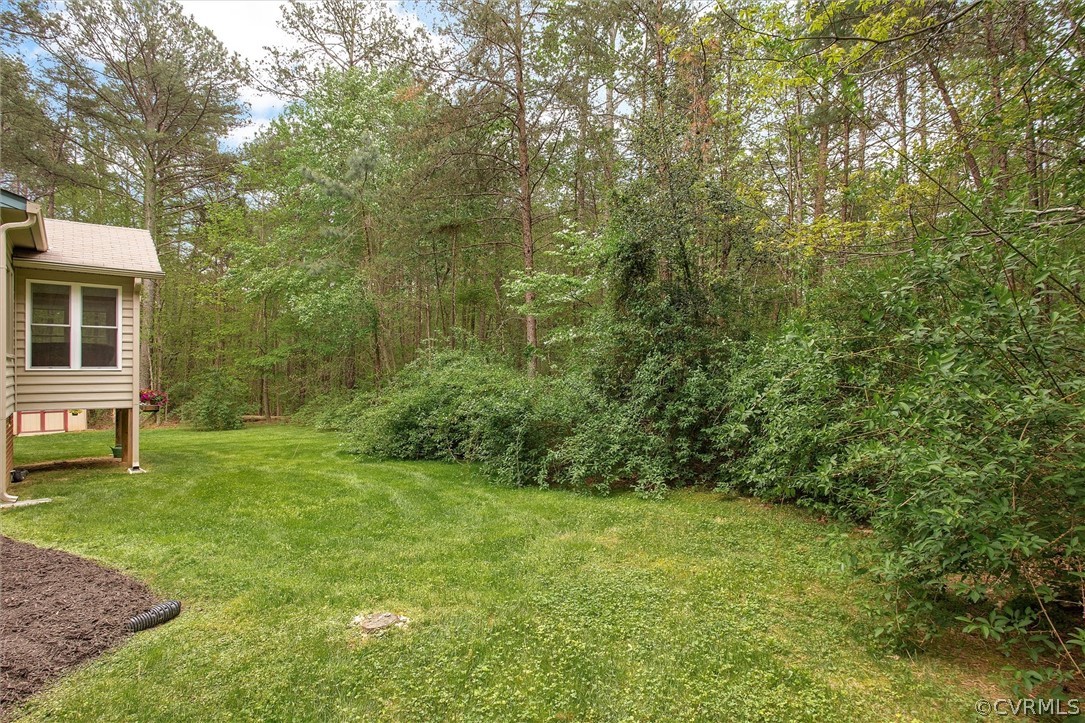 2763 Checketts Drive Sandy Hook, VA 23153 - Photo 34 of 36 a view of a backyard with a garden