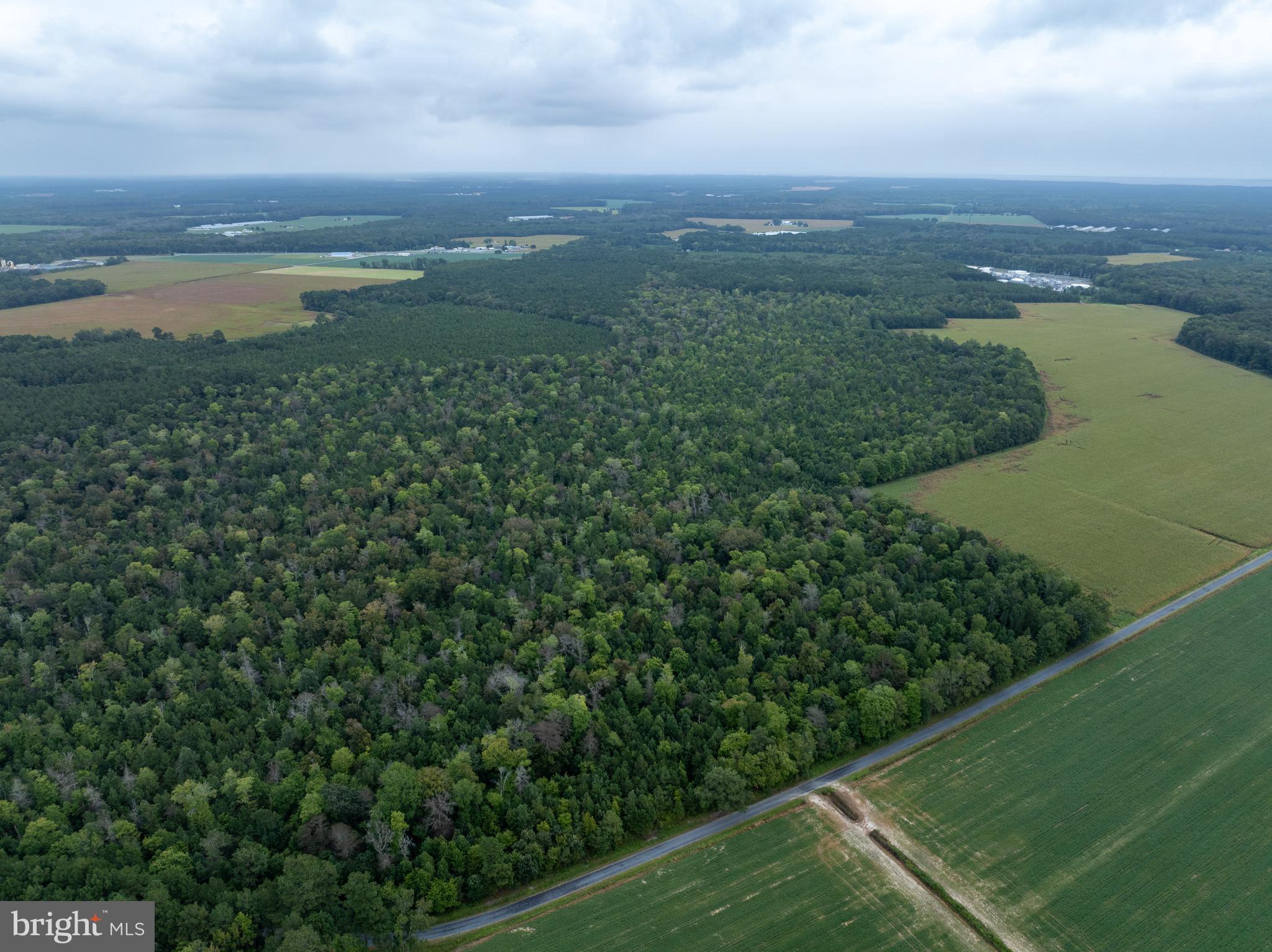 Slocom Farm Road New Church, VA 23415 - Photo 22 of 28 Gallery Image 22