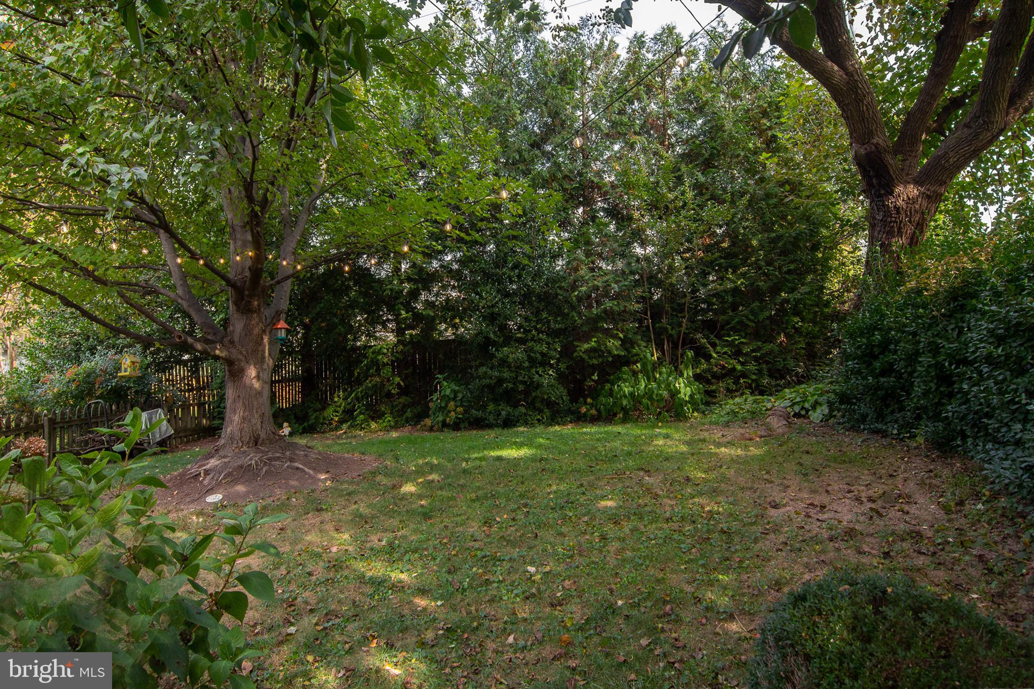 636 Overbrook Road Baltimore, MD 21212 - Photo 35 of 38 a big yard with lots of green space and deers