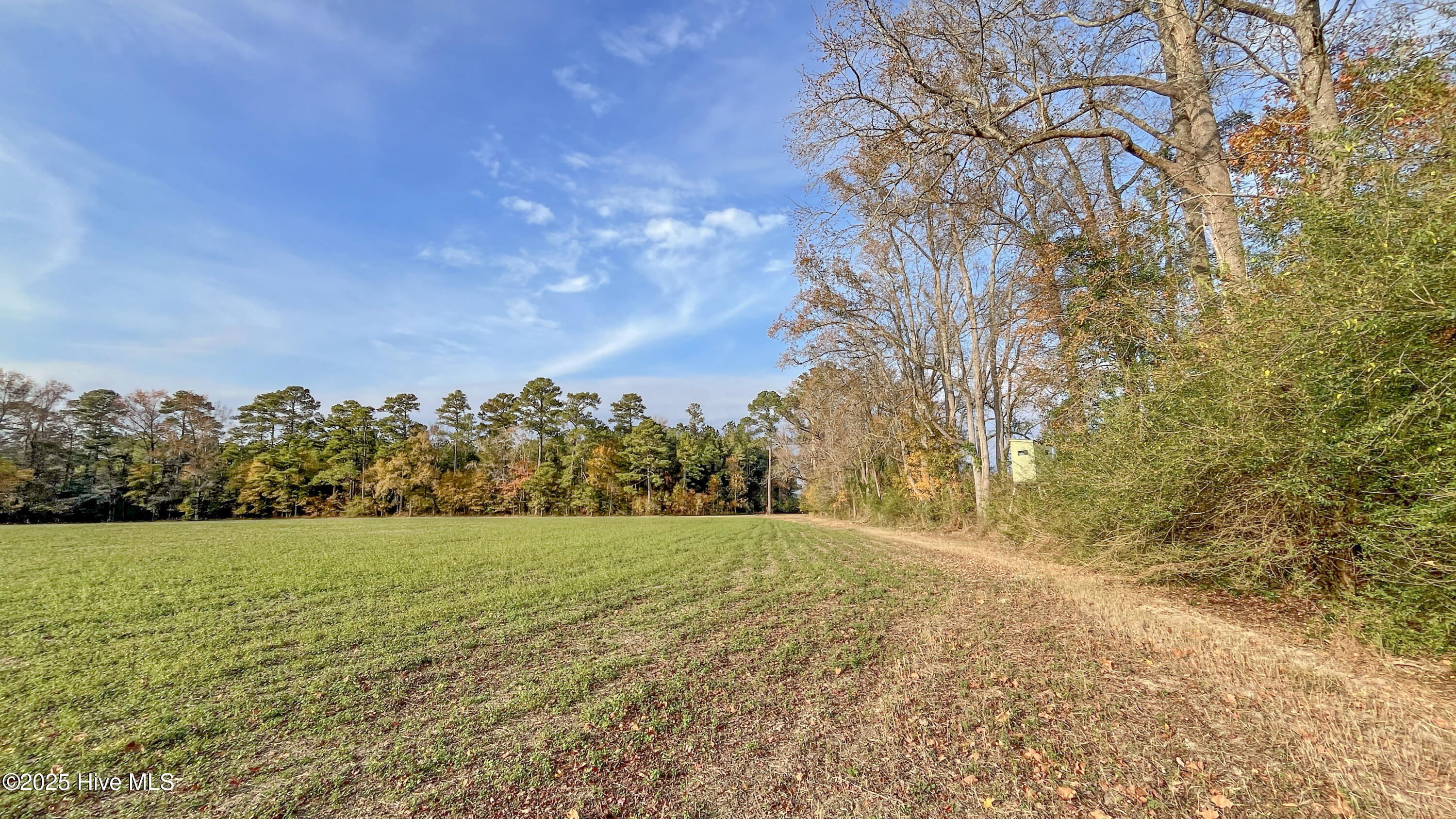 41.5-acres High School Road Teachey, NC 28464 - Photo 18 of 27 18