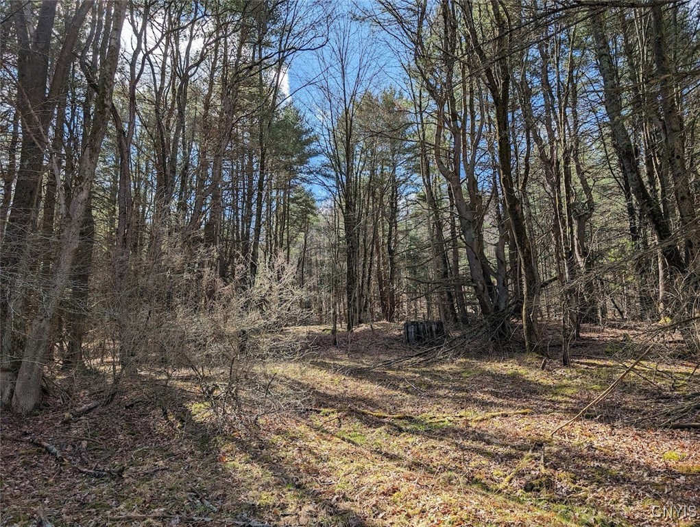 8759 Daggett Hollow Road Genesee, NY 14715 - Photo 17 of 40