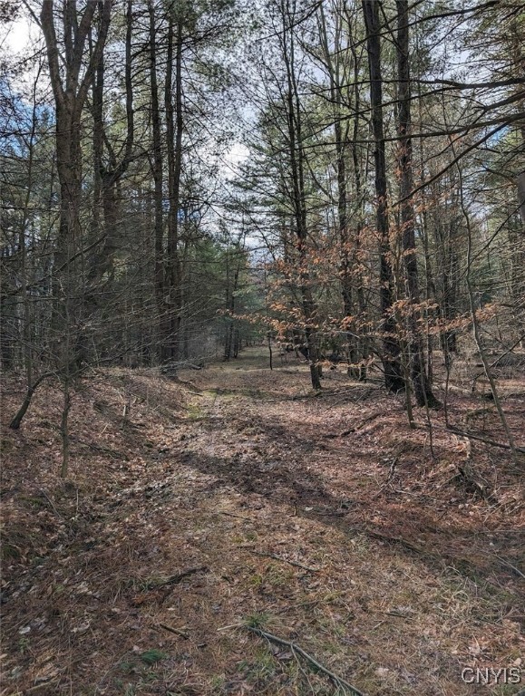 8759 Daggett Hollow Road Genesee, NY 14715 - Photo 18 of 40