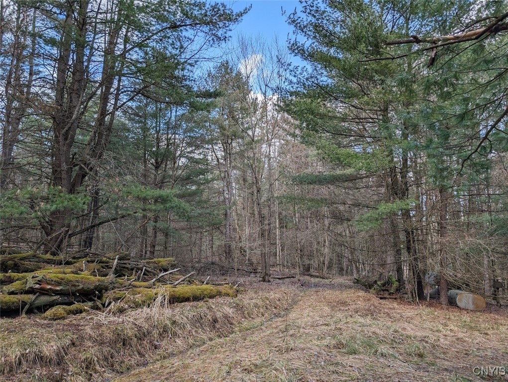 8759 Daggett Hollow Road Genesee, NY 14715 - Photo 20 of 40