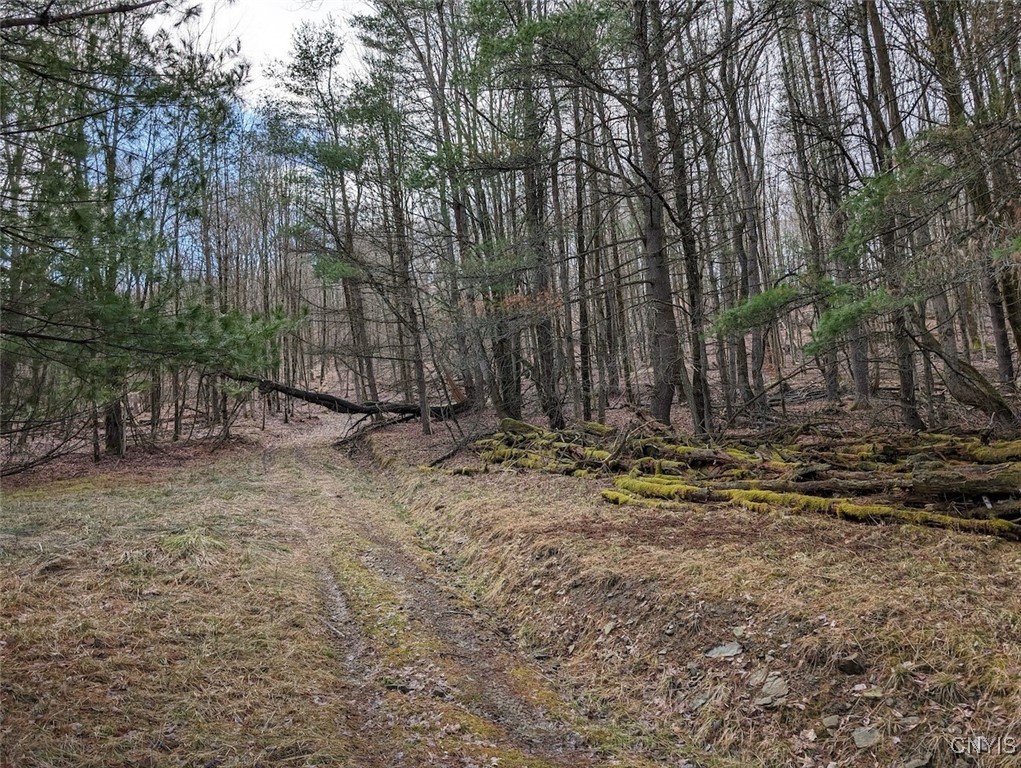 8759 Daggett Hollow Road Genesee, NY 14715 - Photo 21 of 40