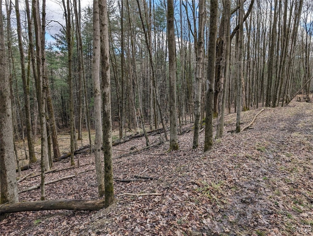 8759 Daggett Hollow Road Genesee, NY 14715 - Photo 22 of 40