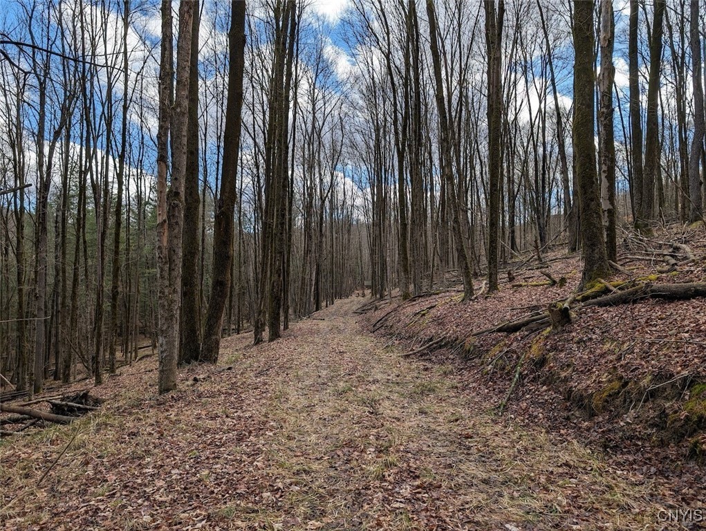 8759 Daggett Hollow Road Genesee, NY 14715 - Photo 23 of 40