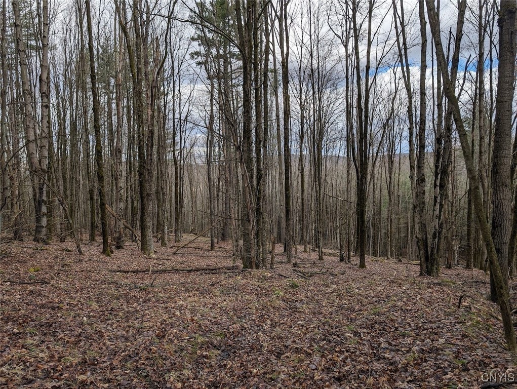 8759 Daggett Hollow Road Genesee, NY 14715 - Photo 24 of 40