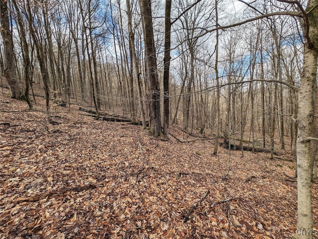 8759 Daggett Hollow Road Genesee, NY 14715 - Photo 25 of 40