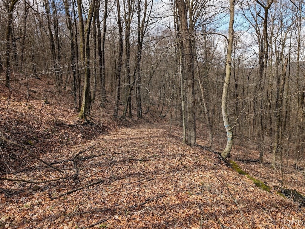 8759 Daggett Hollow Road Genesee, NY 14715 - Photo 26 of 40