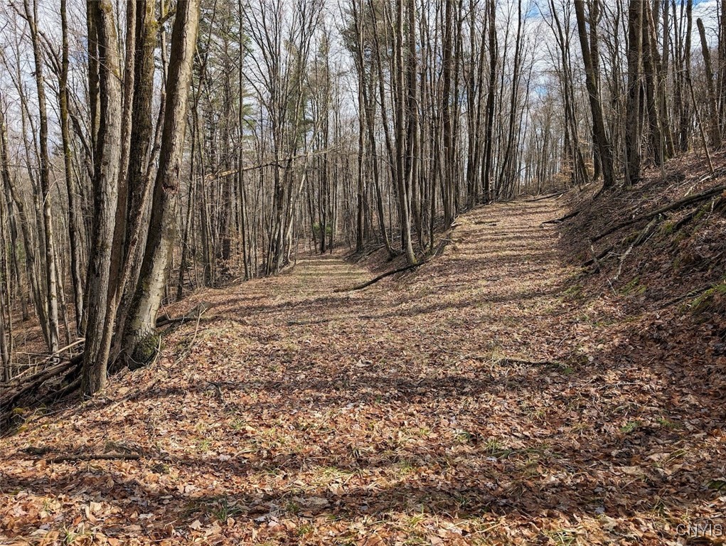 8759 Daggett Hollow Road Genesee, NY 14715 - Photo 28 of 40