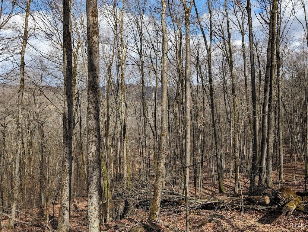 8759 Daggett Hollow Road Genesee, NY 14715 - Photo 29 of 40