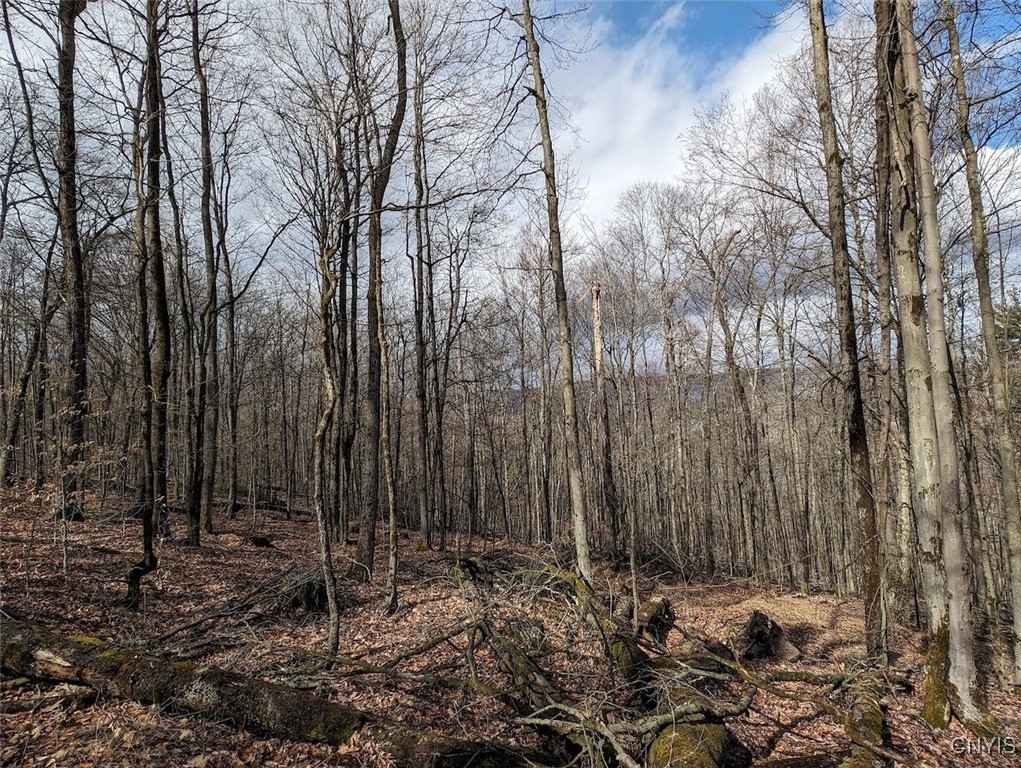 8759 Daggett Hollow Road Genesee, NY 14715 - Photo 30 of 40