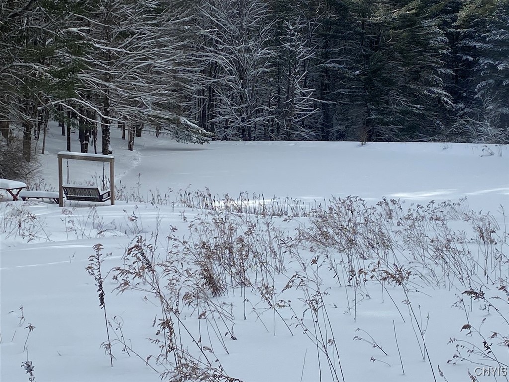 8759 Daggett Hollow Road Genesee, NY 14715 - Photo 3 of 40