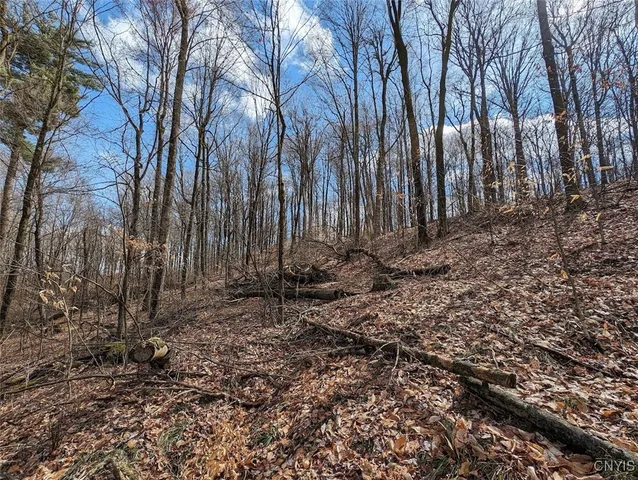 $224,900 | 8759 Daggett Hollow Road, Genesee, NY 14715