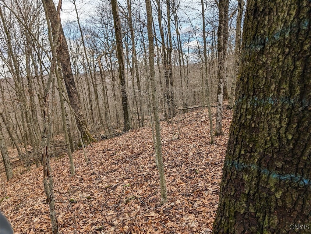 8759 Daggett Hollow Road Genesee, NY 14715 - Photo 32 of 40