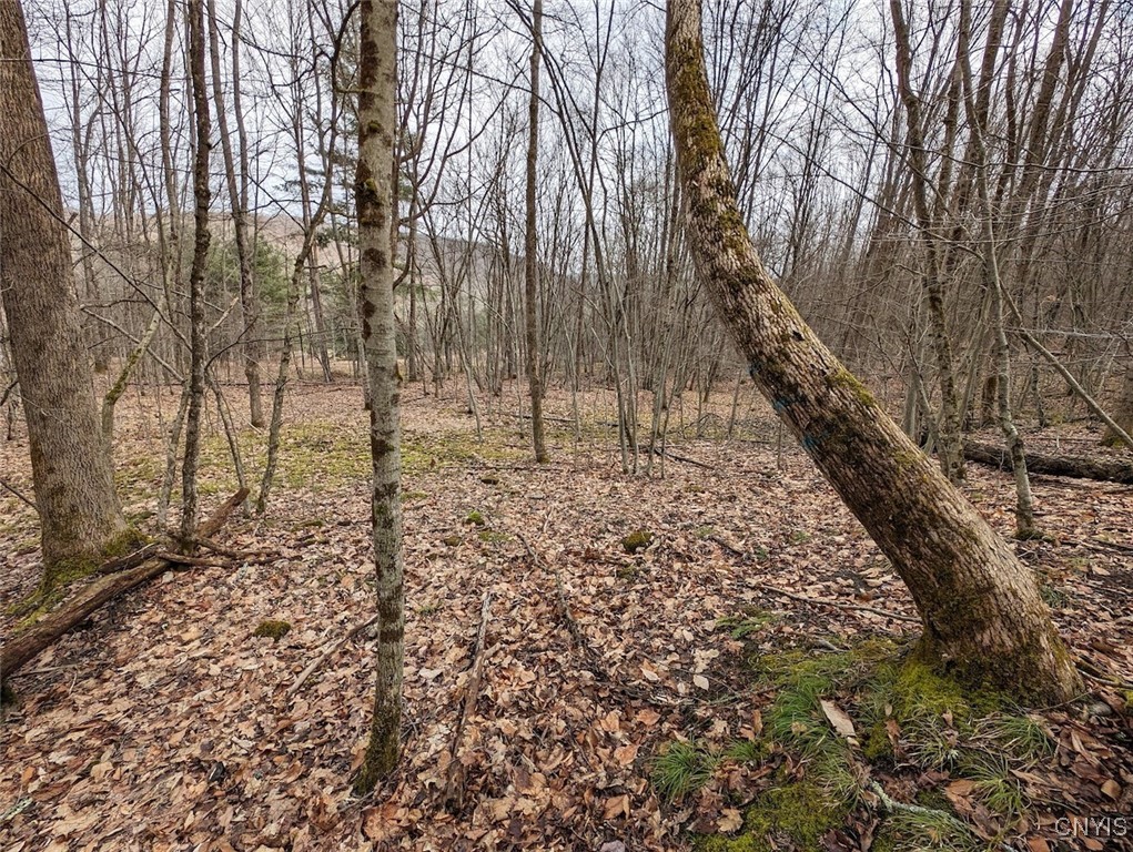 8759 Daggett Hollow Road Genesee, NY 14715 - Photo 33 of 40