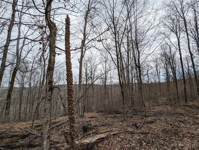 $224,900 | 8759 Daggett Hollow Road, Genesee, NY 14715