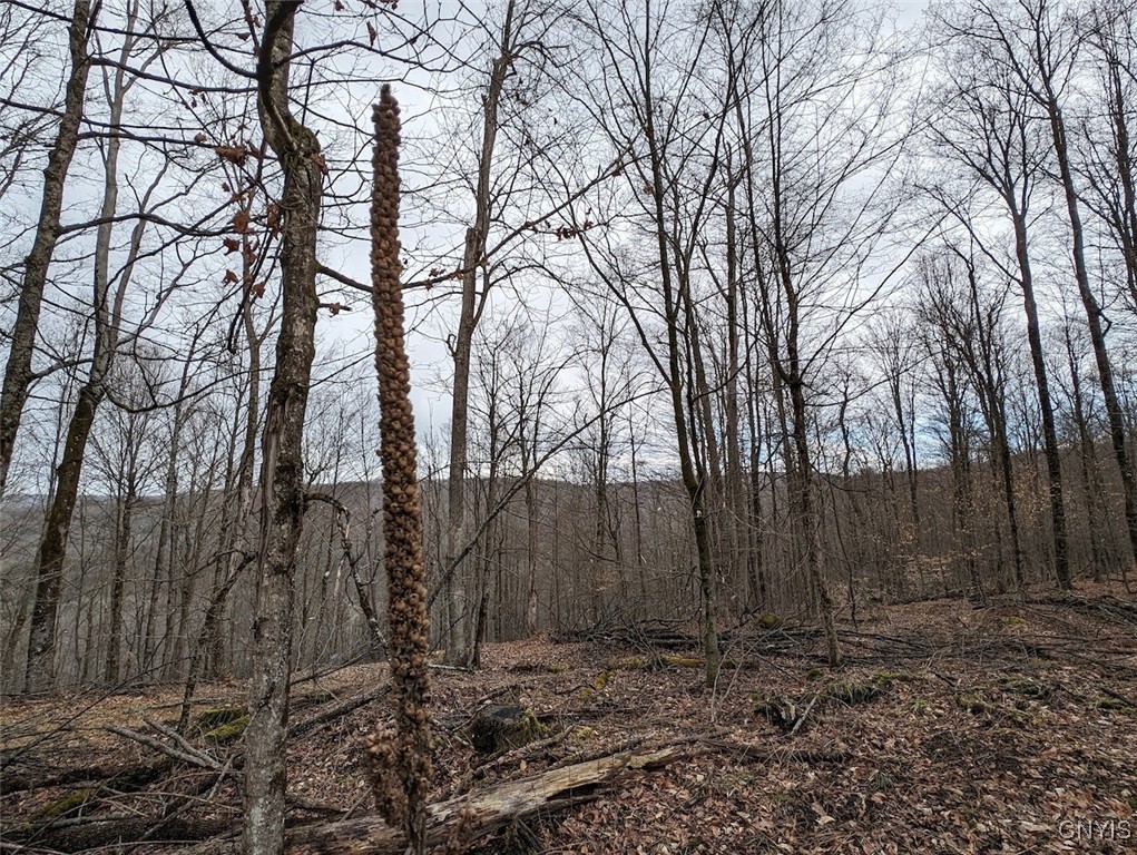 8759 Daggett Hollow Road Genesee, NY 14715 - Photo 34 of 40