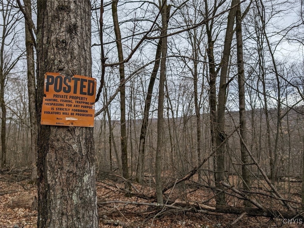 8759 Daggett Hollow Road Genesee, NY 14715 - Photo 35 of 40