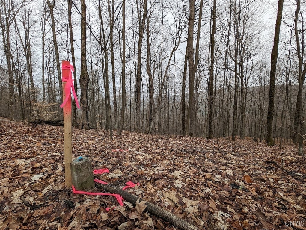 8759 Daggett Hollow Road Genesee, NY 14715 - Photo 36 of 40