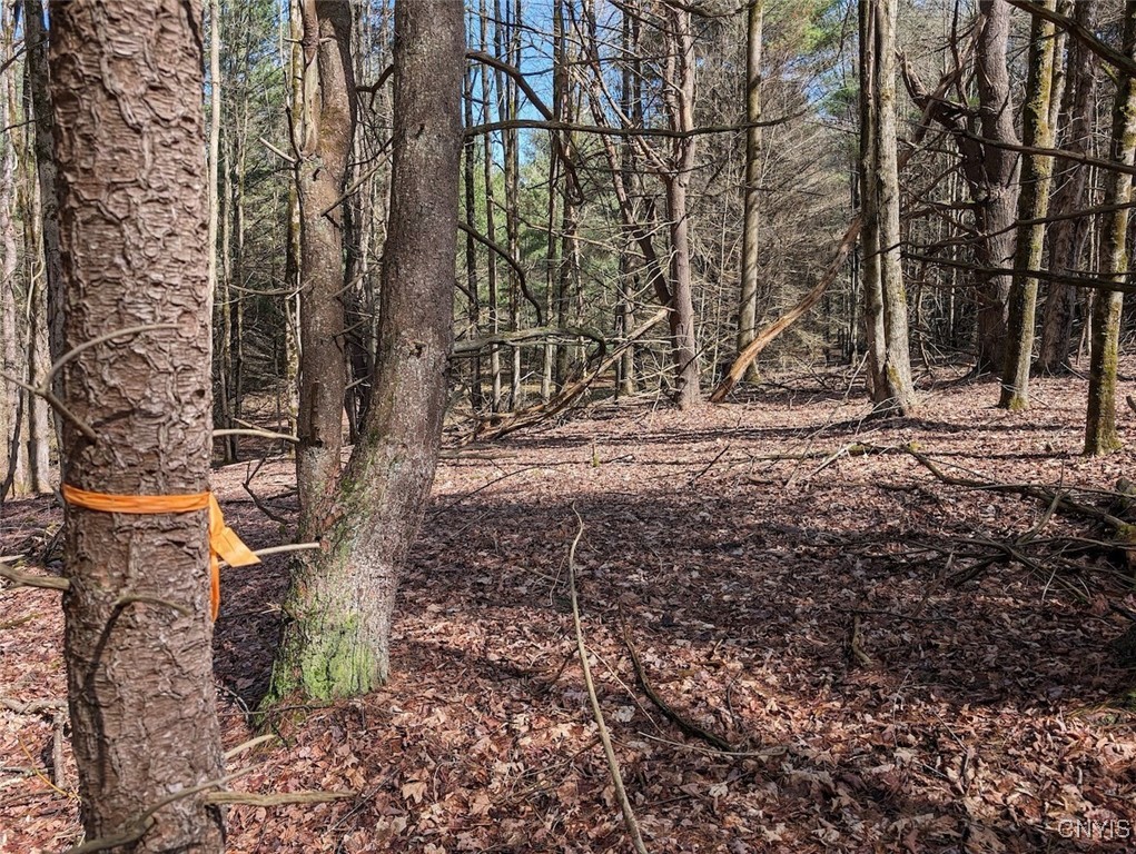 8759 Daggett Hollow Road Genesee, NY 14715 - Photo 37 of 40