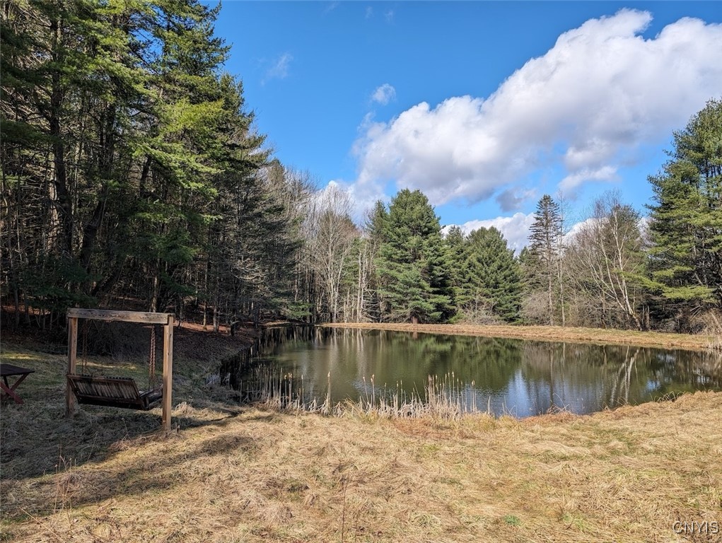 8759 Daggett Hollow Road Genesee, NY 14715 - Photo 4 of 40