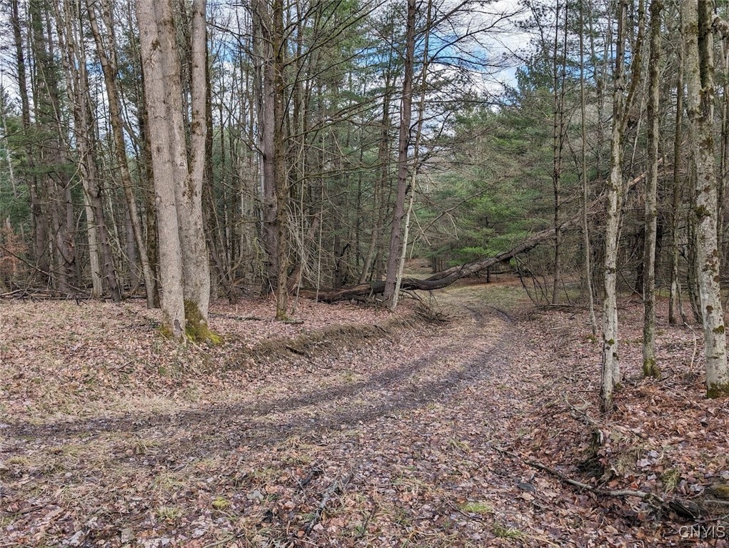 8759 Daggett Hollow Road Genesee, NY 14715 - Photo 6 of 40