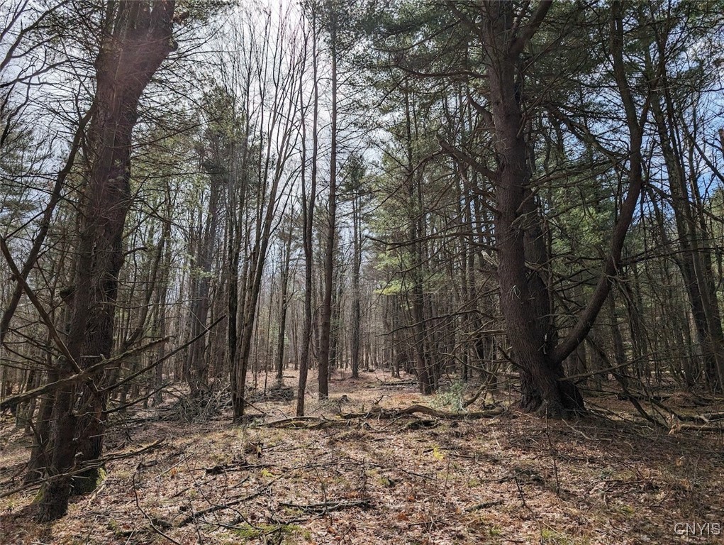 8759 Daggett Hollow Road Genesee, NY 14715 - Photo 7 of 40