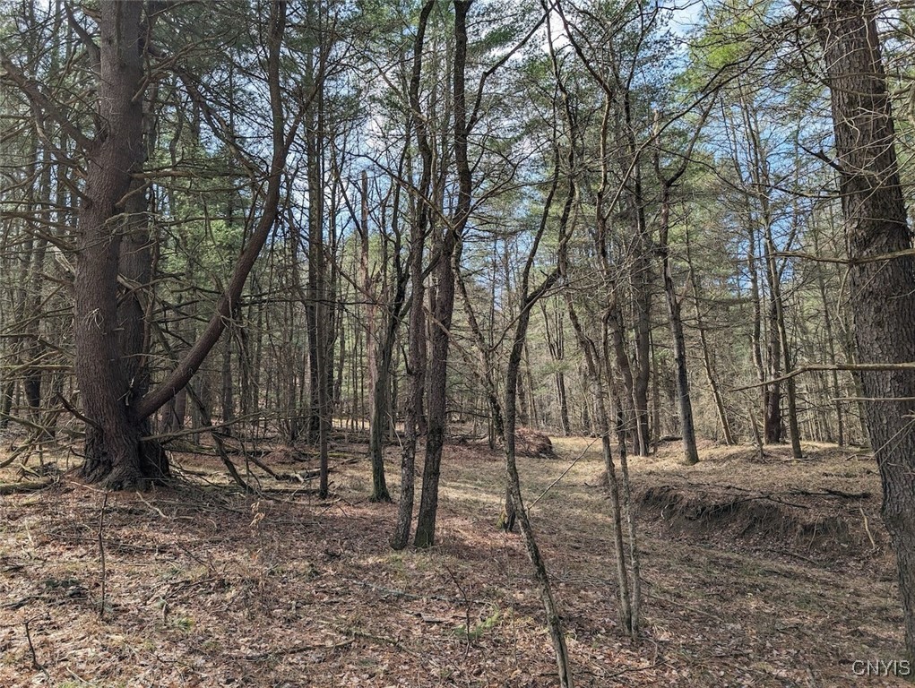 8759 Daggett Hollow Road Genesee, NY 14715 - Photo 8 of 40