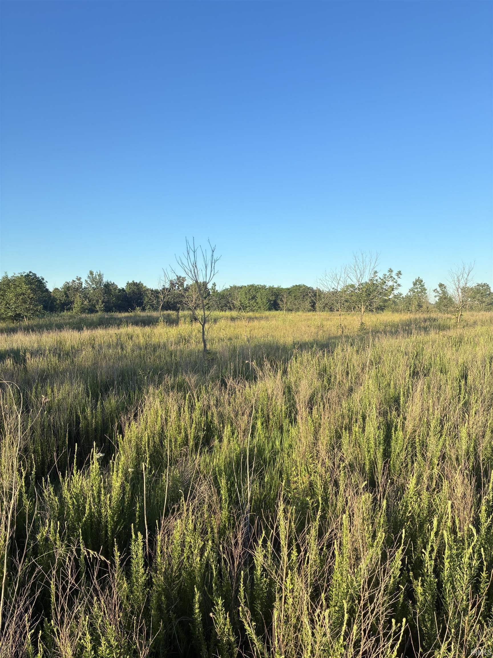 0 Stanley Road Elberfeld, IN 47613 - Photo 1 of 15
