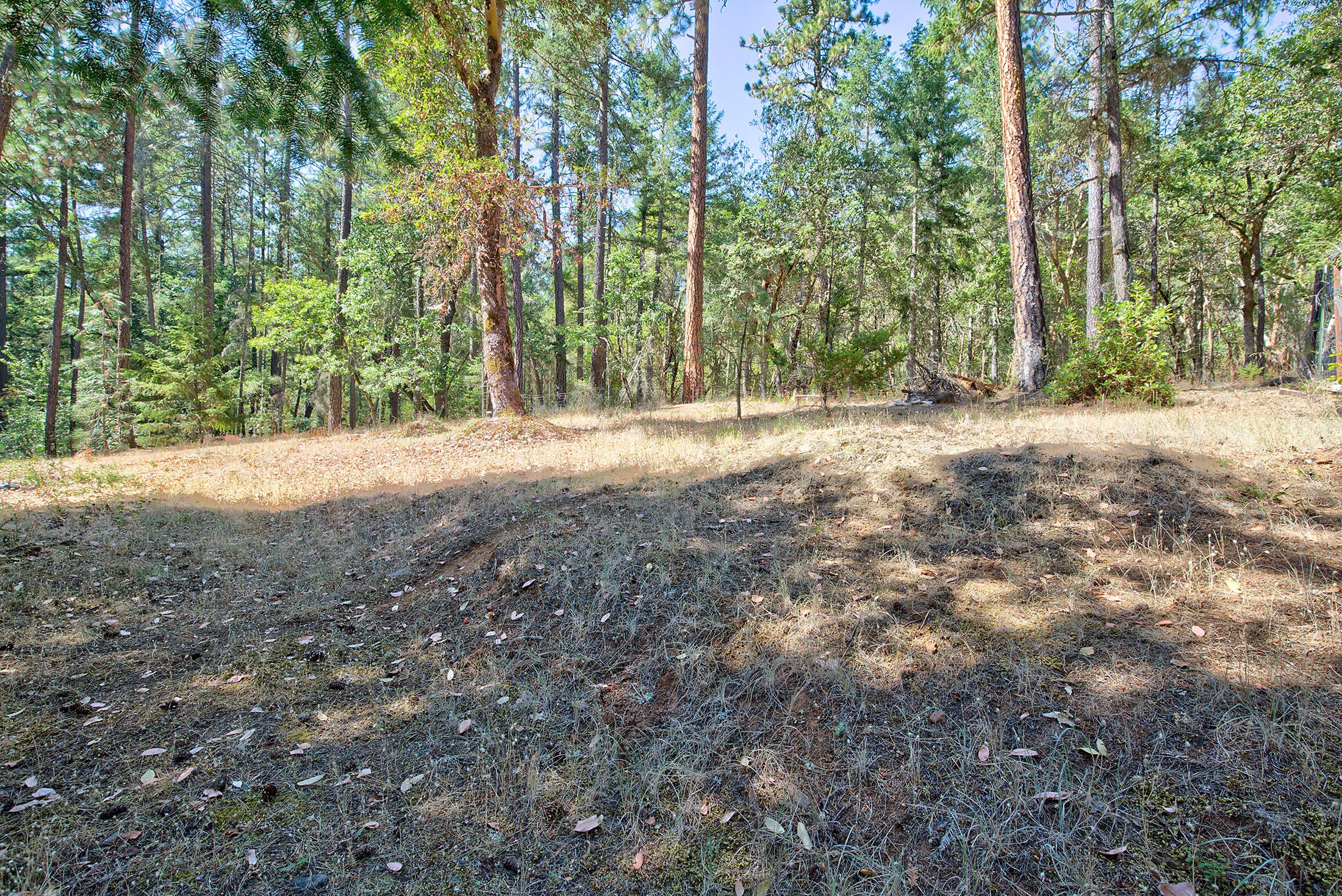8744 North Applegate Road Grants Pass, OR 97527 - Photo 58 of 61 NApplegaterd050