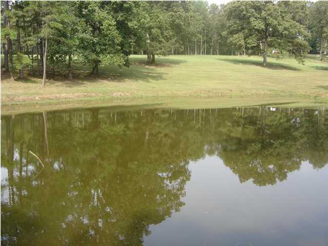 7451 Runyan Road Georgetown, TN 37336 - Photo 1 of 6 Primary Photo