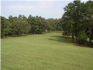 7451 Runyan Road Georgetown, TN 37336 - Photo 6 of 6 Additional Photo