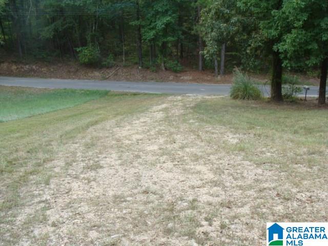 10420 Bishop Ridge West Blocton, AL 35184 - Photo 31 of 31