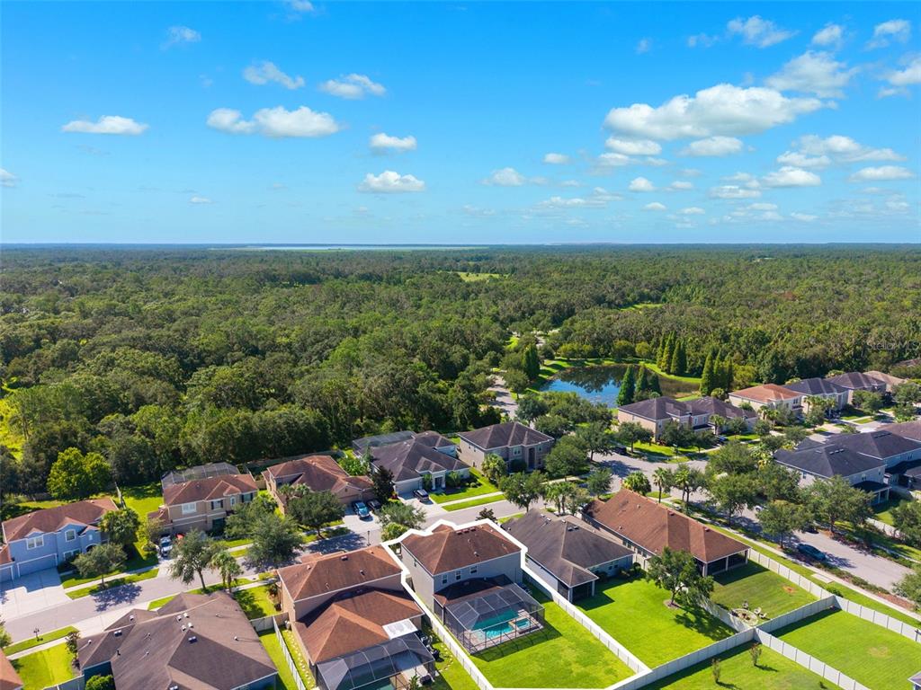 11206 Coventry Grove Circle Lithia, FL 33547 - Photo 48 of 56