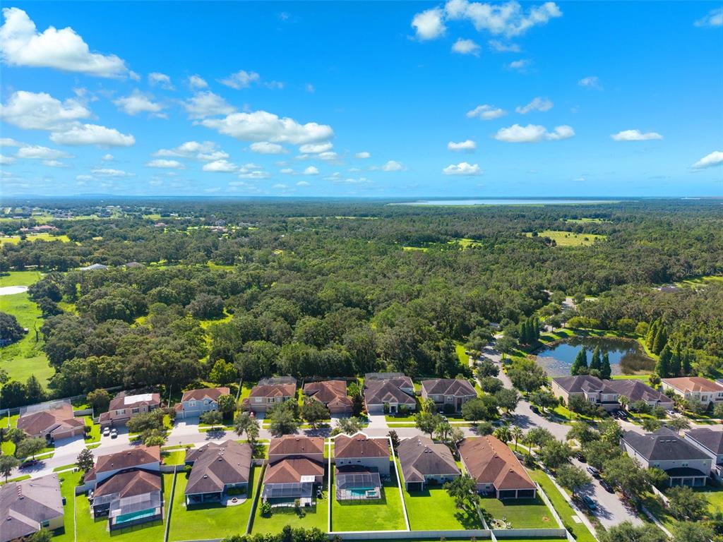 11206 Coventry Grove Circle Lithia, FL 33547 - Photo 49 of 56