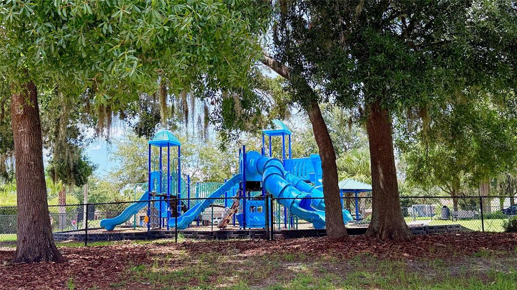 11206 Coventry Grove Circle Lithia, FL 33547 - Photo 53 of 56