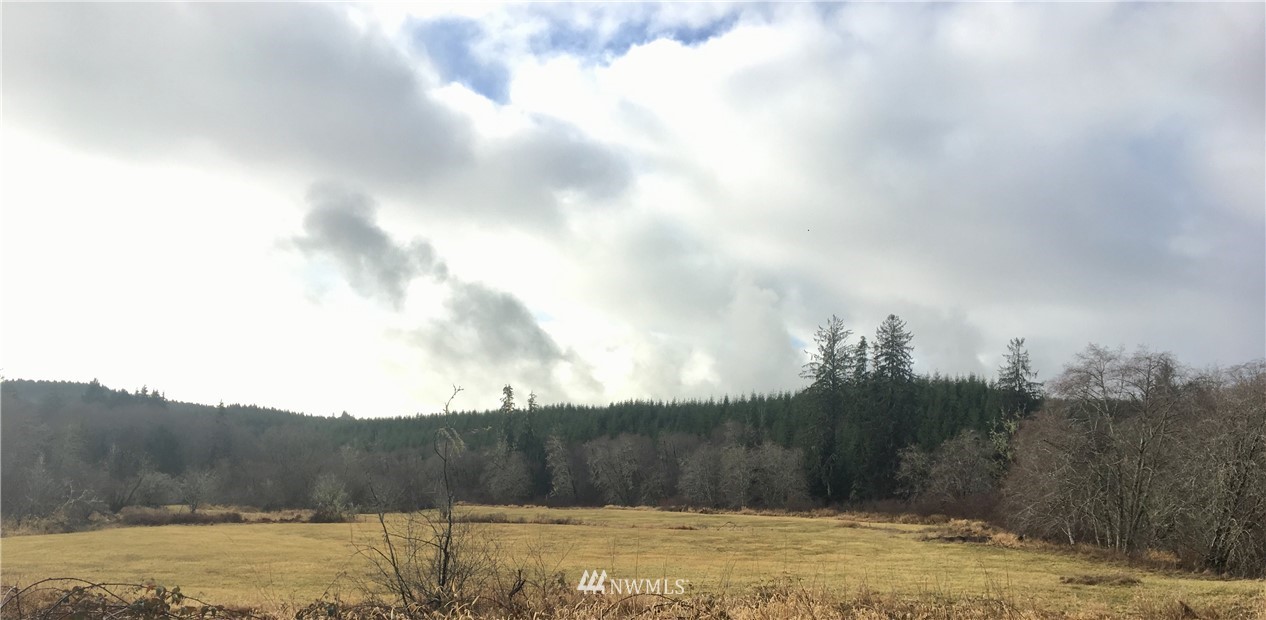 1966 North River Road Cosmopolis, WA 98537 - Photo 11 of 13 Gallery Image 11