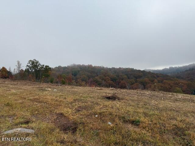 Pinnacle Lane La Follette, TN 37766 - Photo 2 of 4 land view looking to back