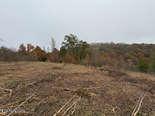 Pinnacle Lane La Follette, TN 37766 - Photo 3 of 4 land lot 64