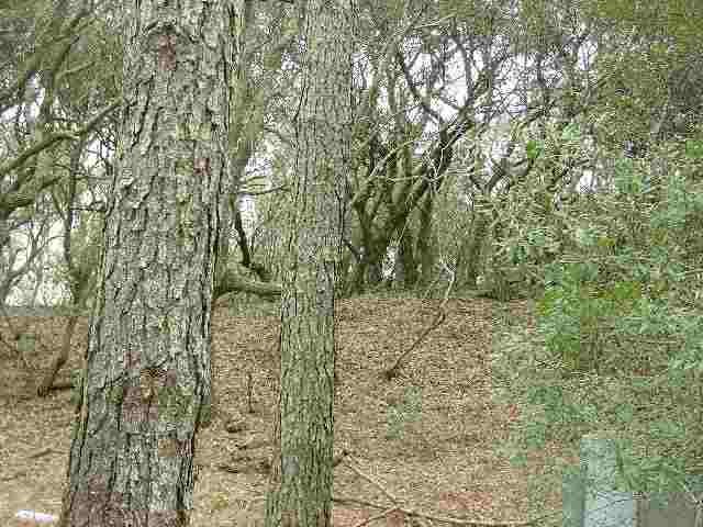 1689 Hilltop Road Corolla, NC 27927 - Photo 3 of 3 Gallery Image 3
