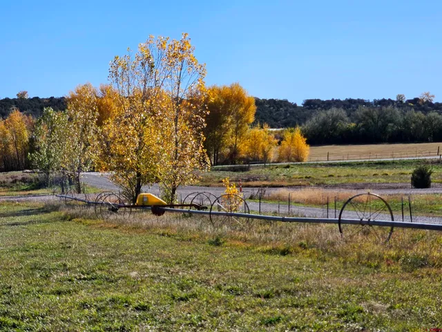 a view of a lake with houses